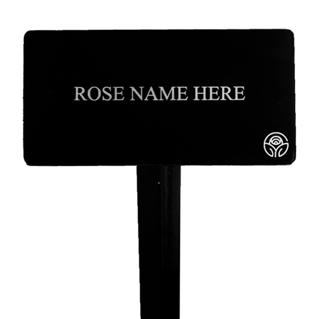 The Alnwick Rose Stake